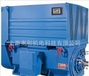 WEG中高压电机 MGF系列