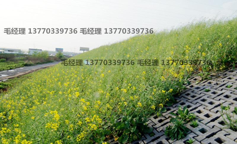 水工连锁护坡砖 铰链式连锁护坡砖 河道景观护坡砖 水工块