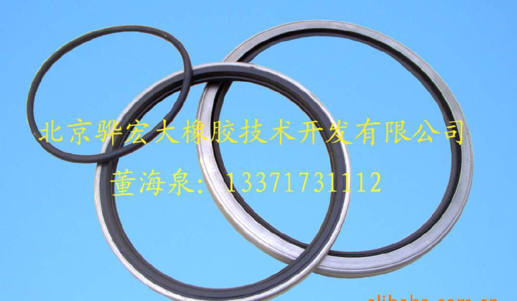 中速磨煤机磨辊总成骨架油封