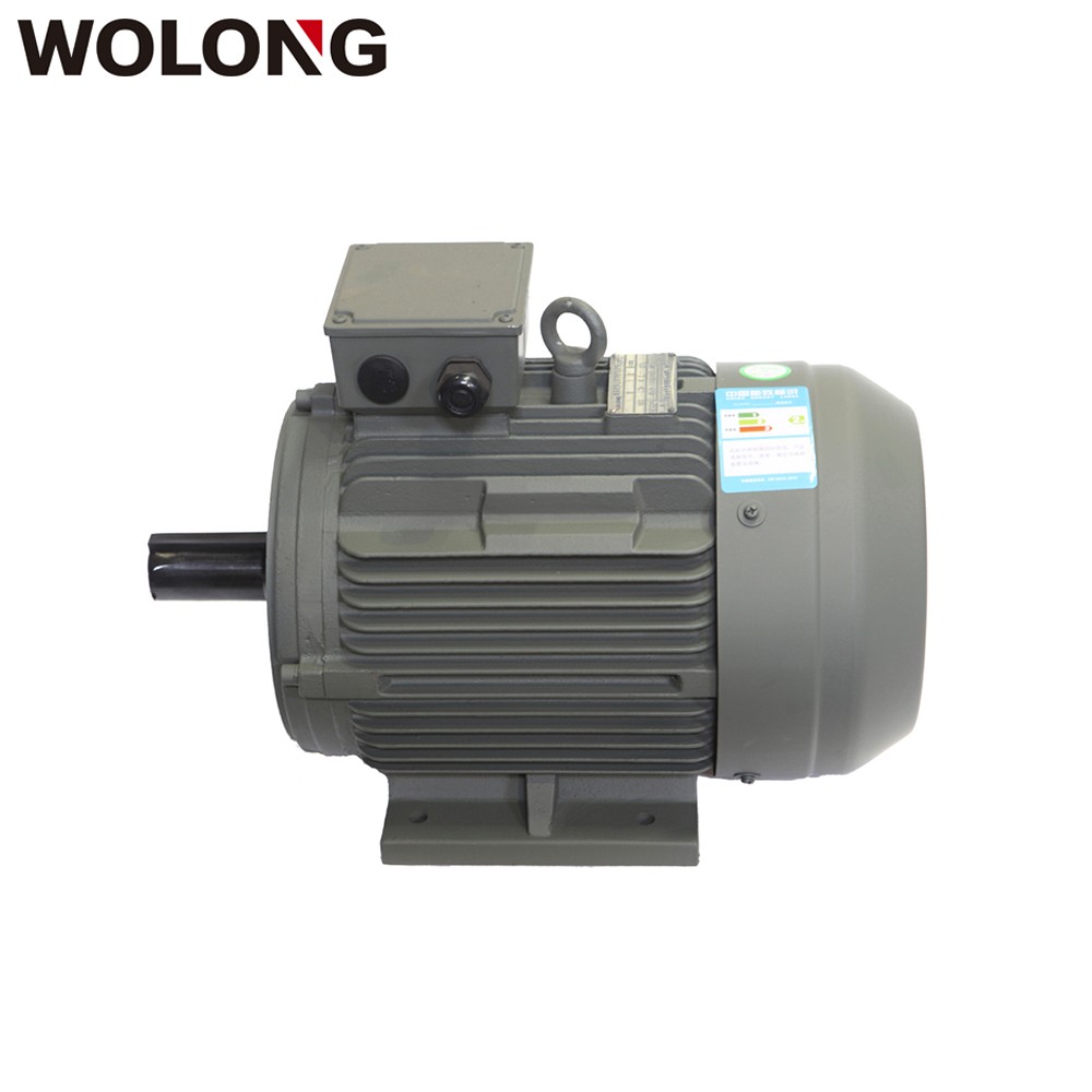 WOLONG/卧龙工业电机 YE3超高效率三相异步电动机   4极11KW~55W三相异步电机