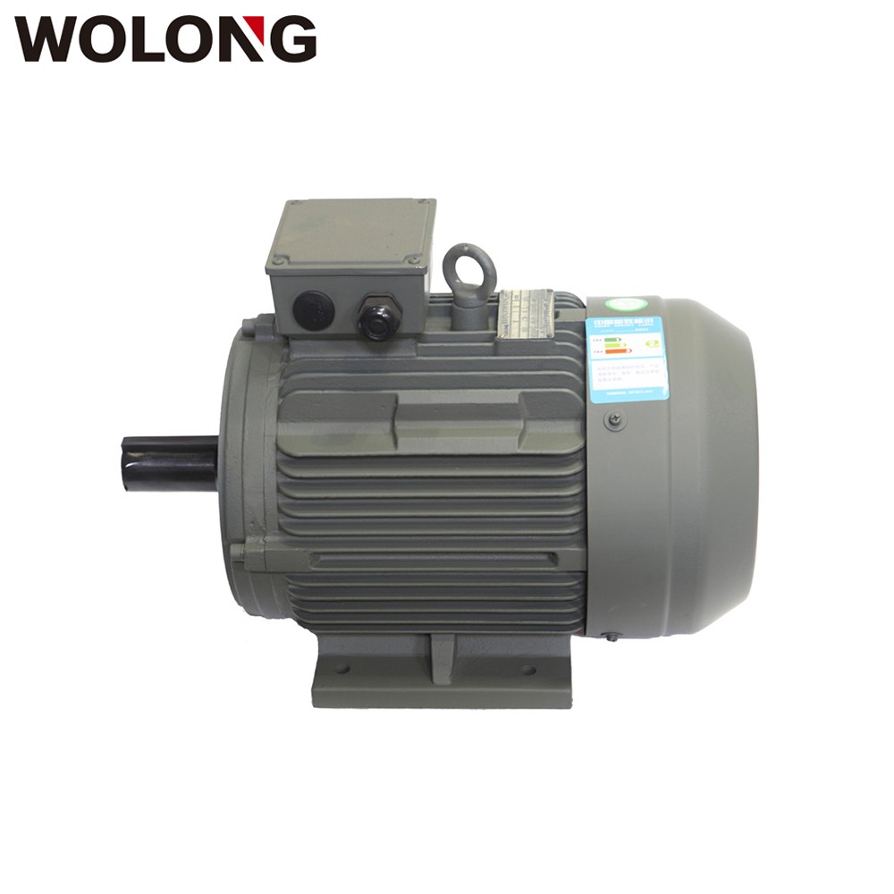 WOLONG/卧龙工业电机 YE3超高效率三相异步电动机 机械设备专用电机  4极11KW~55W三相异步电机