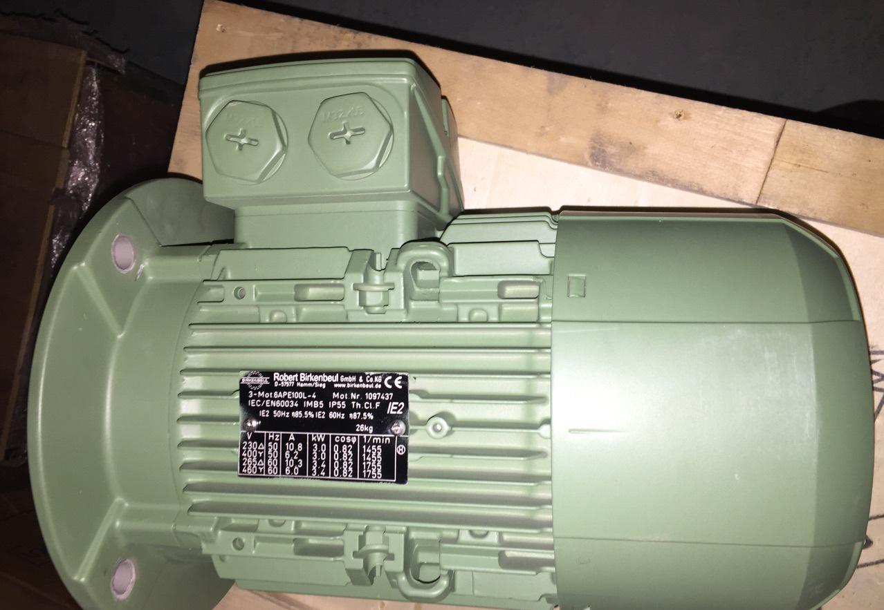 德国进口电机ROBERT Birkenbeul 3kw