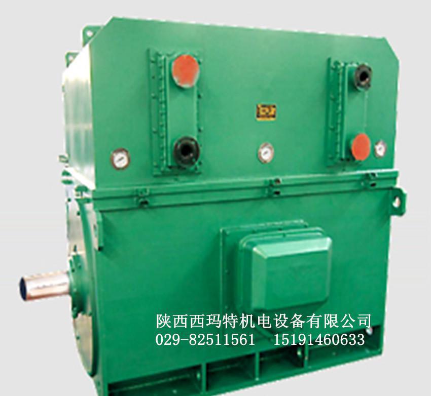 西安西玛电机YKS5005-12 250KW 10KV IP