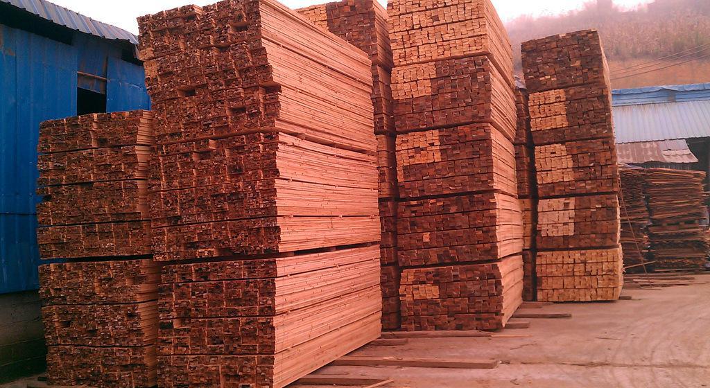 木材木材  杉木板 松木板  杉木 木方 胶合板 多层板 木