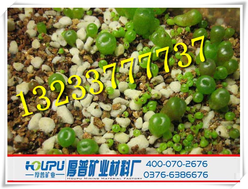 广州珍珠岩粉钱吨生产厂家