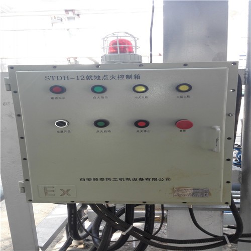 陕西西安秦川热工沼气（污水处理）火炬放散点火系统,，厂家直销，免费 提供技术方案