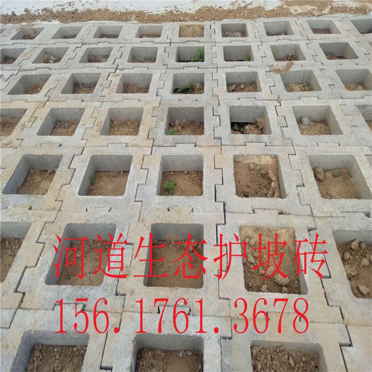 专业生产优质海斯475*410*100生态护坡砖渠道护坡砖连锁式护坡砖 合肥护坡砖