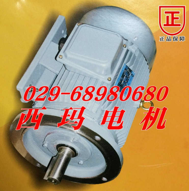 北京供应YL4504-6 630KW立式高压电机