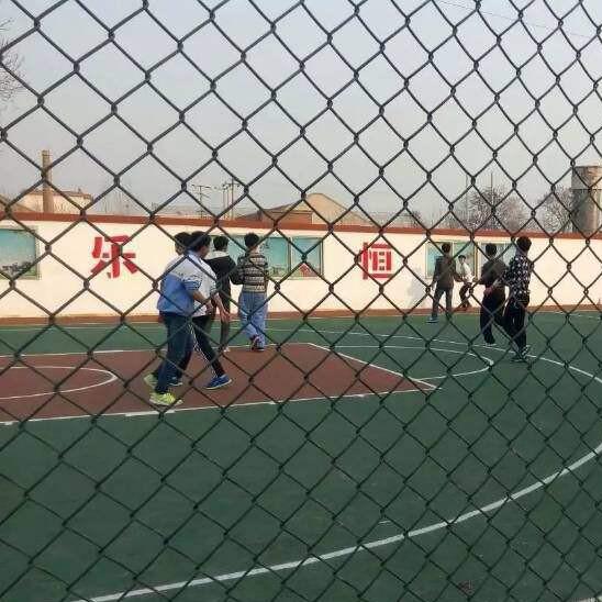 驿舜网业 组合式体育场围栏 勾花围网喷塑运动球场护栏网 专业定做批发