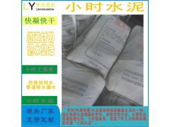 乌鲁木齐堵漏王  速凝型