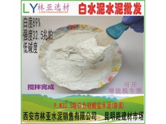 厂家直销 阿尔博仙鹿牌外墙装饰白水泥 甘肃阿尔博白水泥批发