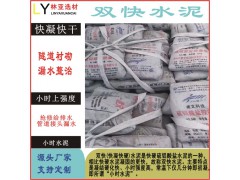 咸阳快凝快硬水泥 （双快水泥） 特种水泥