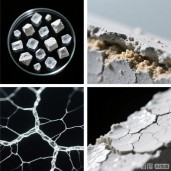 供应郑特42.5级　52.5级早强发泡早强硫铝酸盐快硬水泥